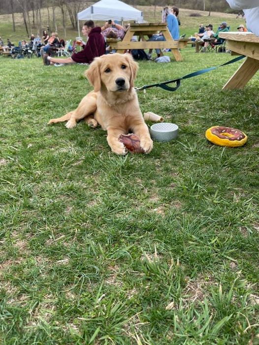 Sometimes, the pups need to soak up some afternoon sunshine, too! ?